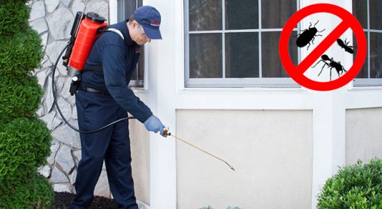 Sarayköy Gümüşkurt İlaçlama böcek ilaçlama ve haşere kontrolü — ilaclama-tr.com